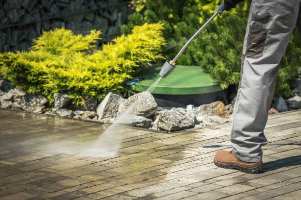 Best Dumpster Area Cleaning  in Harmony Grove, CA